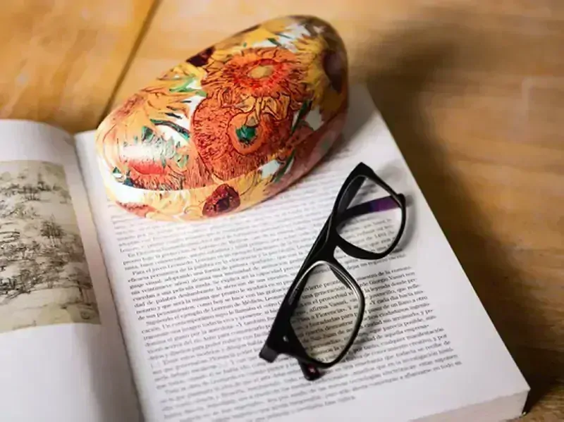 Etui na brýle Vincent van GOGH Slunečnice,CARMANI, 0218446